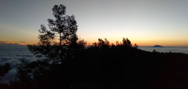 Silhouette trees by plants against sky during sunset