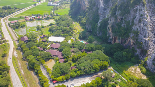 High angle view of plants and trees on landscape