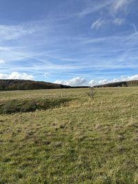 nature