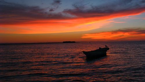 Boat at the sunset with little birds.