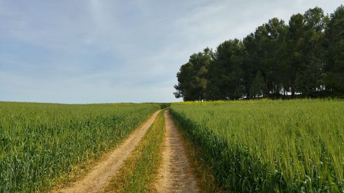 Scenic view of field against cloudy sky