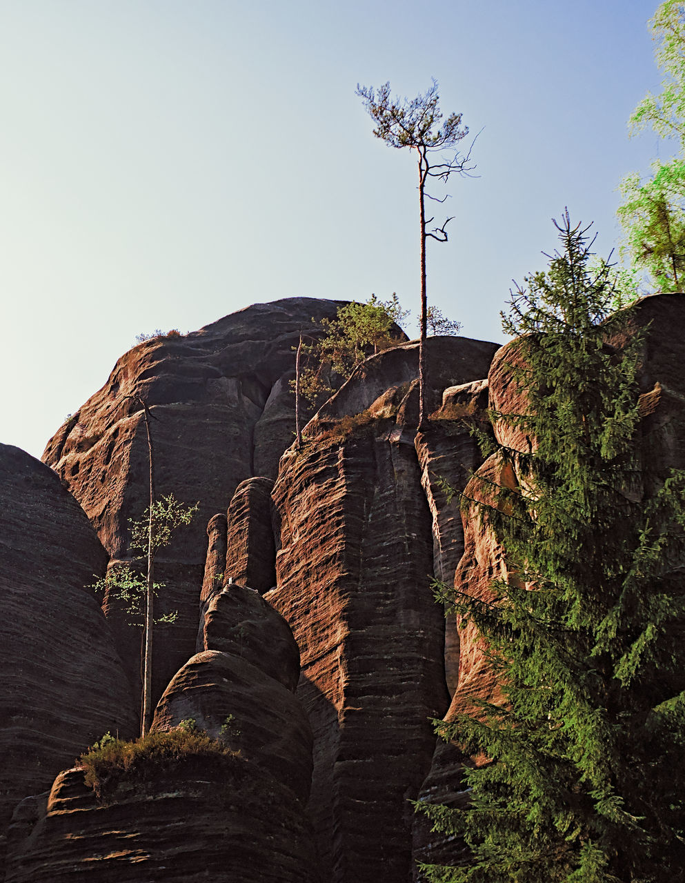 LOW ANGLE VIEW OF ROCK FORMATION AGAINST SKY