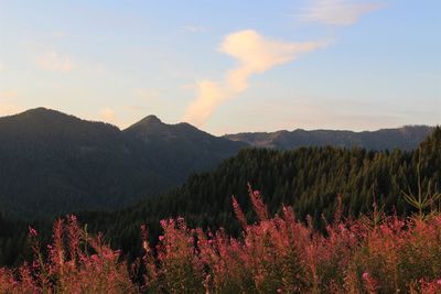 Scenic view of mountains against sky during sunset