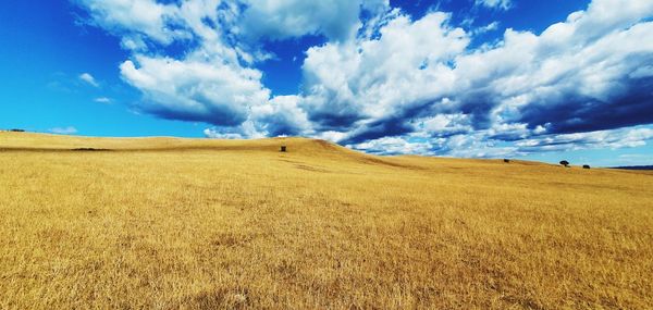 Panoramic view of agricultural field against sky