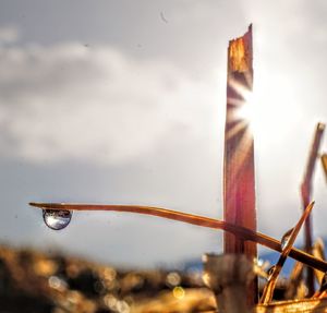 Close-up of wet metal against sky