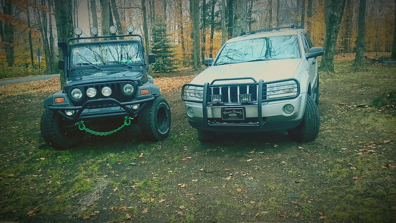 transportation, mode of transport, land vehicle, abandoned, car, grass, old, field, obsolete, damaged, day, no people, outdoors, stationary, old-fashioned, run-down, street, tree, built structure, grassy