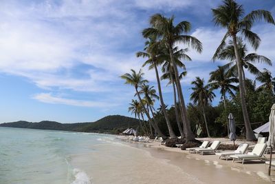 Palm trees on beach against sky