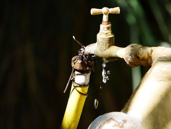 Close-up of old faucet