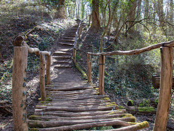 Wooden footbridge amidst trees in forest