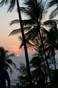 Silhouette palm trees by sea against sky at sunset