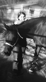 Close-up of horse in stable