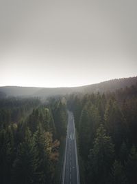 Road amidst trees against clear sky