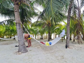 Scenic view of palm trees on beach