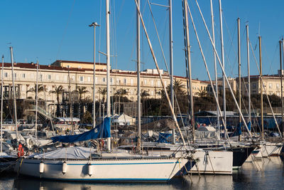 Sailboats moored in harbor