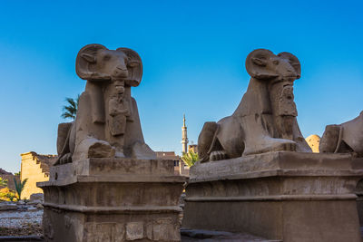 Sphinxes in karnak temple, luxor, egypt