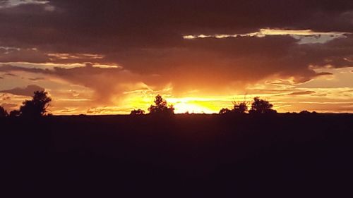 Silhouette trees on field against sky during sunset