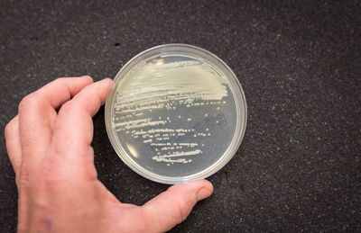 Close-up of hand holding paper