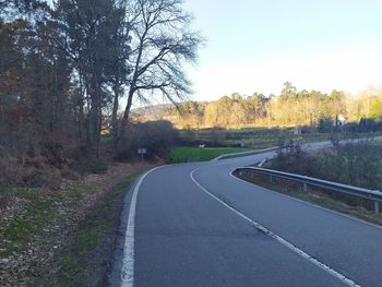 Empty road along trees and plants