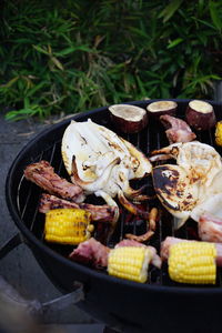 Close up photo of squid and ribs grilled on a bbq kitchen