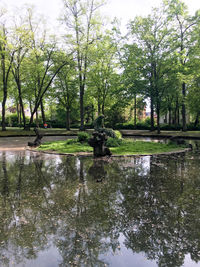 Reflection of trees in pond