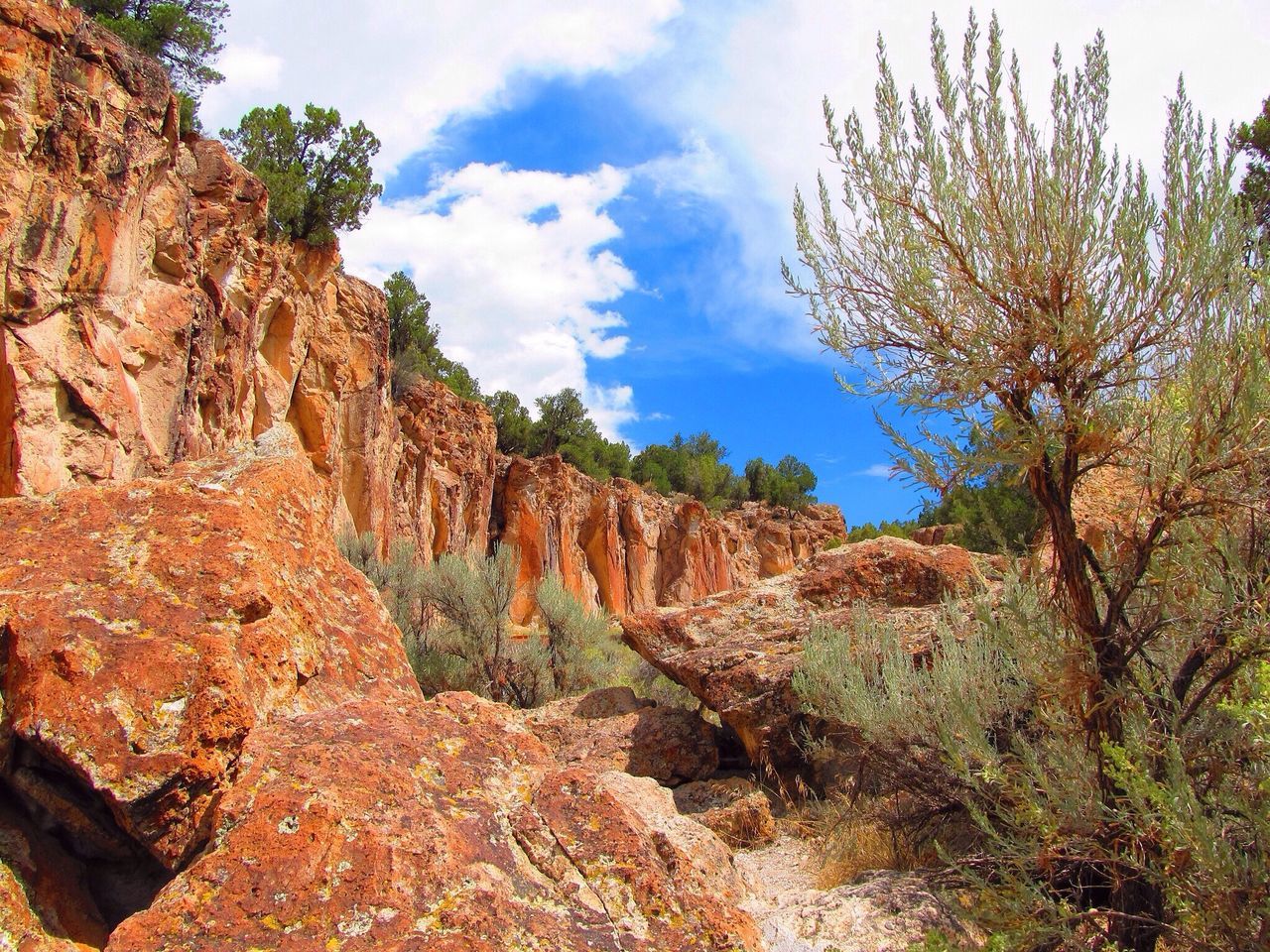 sky, tree, tranquility, rock formation, nature, rock - object, tranquil scene, mountain, low angle view, beauty in nature, scenics, cloud - sky, cloud, non-urban scene, rocky mountains, growth, day, landscape, outdoors, geology