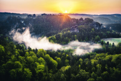 environment