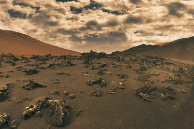 Scenic view of desert against sky during sunset