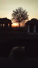 Silhouette of tree at sunset