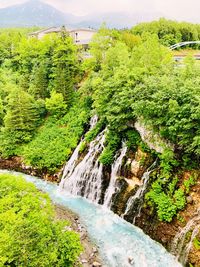 Scenic view of waterfall amidst trees in forest