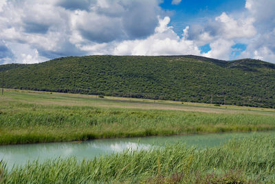 Scenic view of field against sky