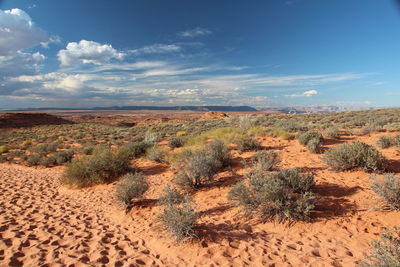 Scenic view of desert against sky