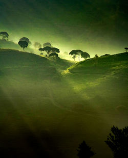 Scenic view of trees on landscape against sky