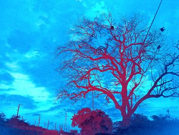 Bare tree against sky during winter