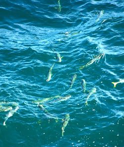 Full frame shot of rippled water