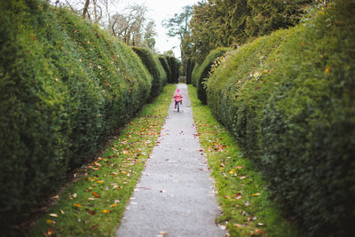 Full length of girl riding bicycle on road amidst trees