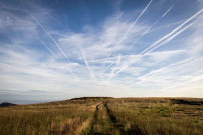 Scenic view of field against sky