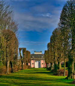 Trees growing on field against sky