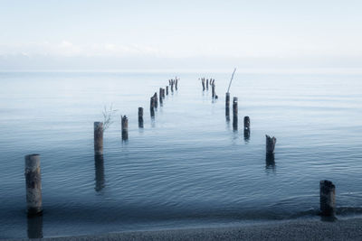 Wooden posts in sea against sky