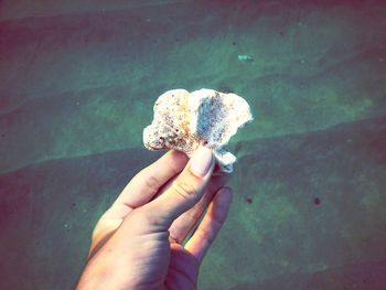 Close-up of hand holding butterfly