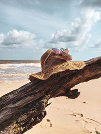 Driftwood on beach against sky