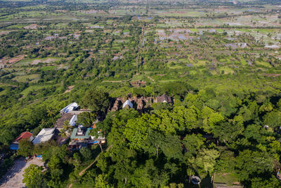 High angle view of trees and houses on field