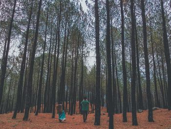 Rear view of people standing by trees in forest