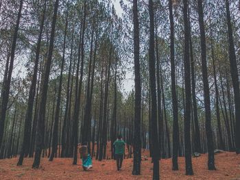 Rear view of people standing by trees in forest