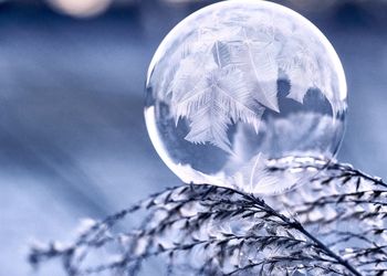 Close-up of crystal ball