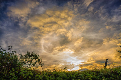 Scenic view of field against cloudy sky