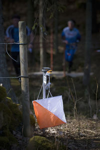 Orienteering