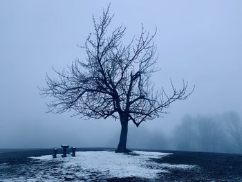 Bare tree by lake against sky during winter