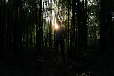 Man standing against trees during sunset