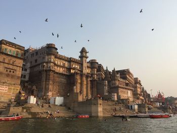 Birds flying over water against clear sky