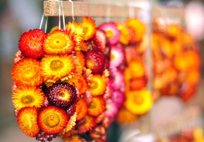 Close-up of flowers for sale at market stall
